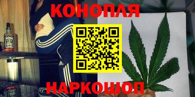 PSILOCYBIN Краснознаменск