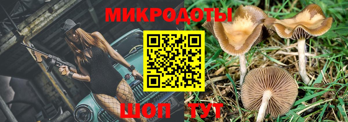 Клин  Галлюциногенные грибы Cubensis  Вход с VPN 