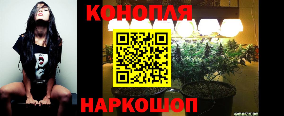 Марихуана SATIVA & INDICA Клин